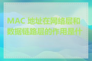 MAC 地址在网络层和数据链路层的作用是什么