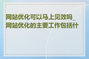 网站优化可以马上见效吗_网站优化的主要工作包括什么