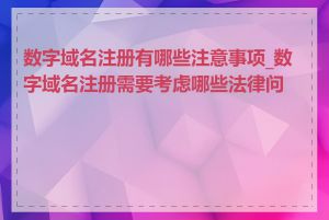 数字域名注册有哪些注意事项_数字域名注册需要考虑哪些法律问题