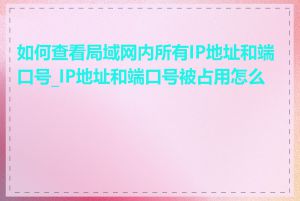 如何查看局域网内所有IP地址和端口号_IP地址和端口号被占用怎么办