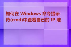 如何在 Windows 命令提示符(cmd)中查看自己的 IP 地址