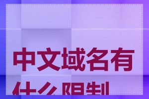 中文域名有什么限制吗