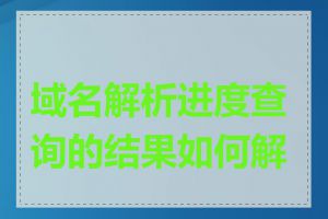 域名解析进度查询的结果如何解读