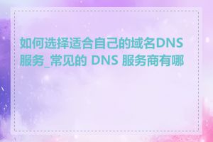 如何选择适合自己的域名DNS服务_常见的 DNS 服务商有哪些